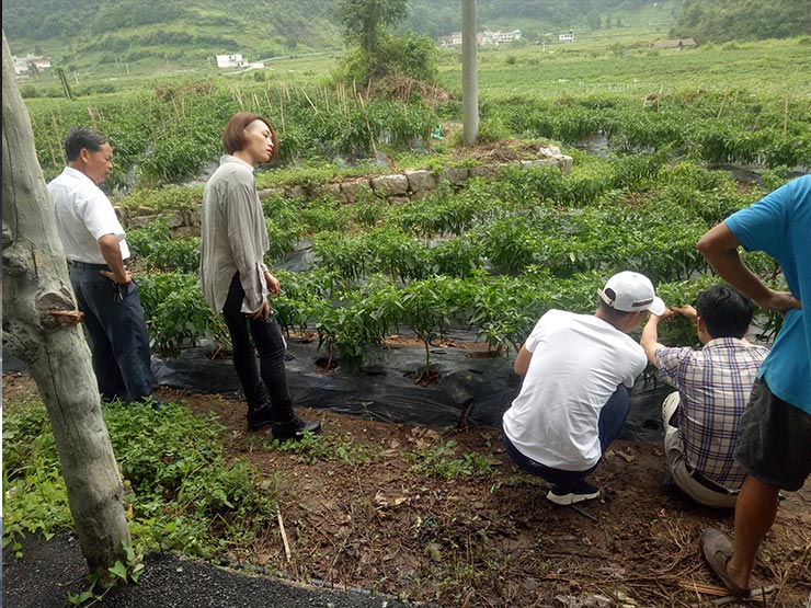 Z6·人生就是博(中国区)官方网站