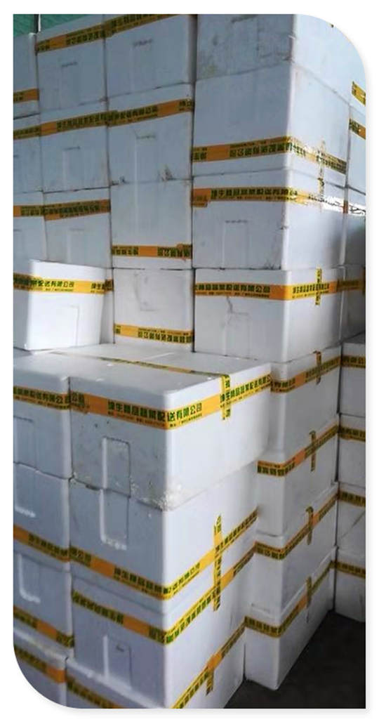 Z6·人生就是博(中国区)官方网站