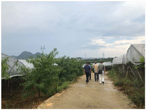 Z6·人生就是博(中国区)官方网站