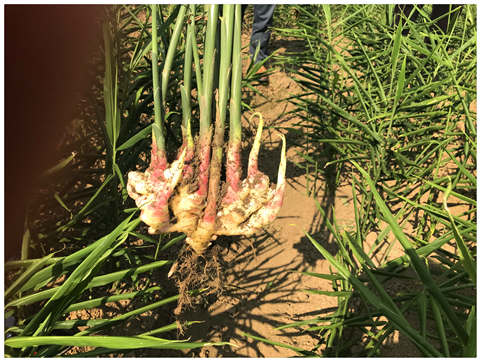 Z6·人生就是博(中国区)官方网站