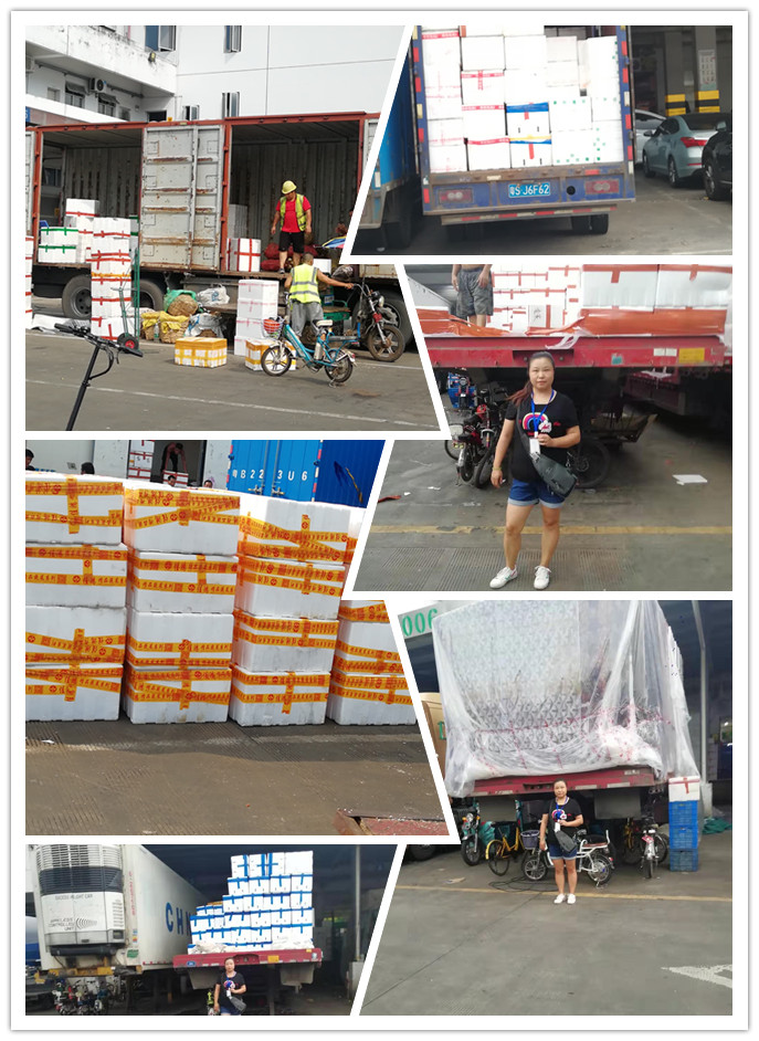 Z6·人生就是博(中国区)官方网站