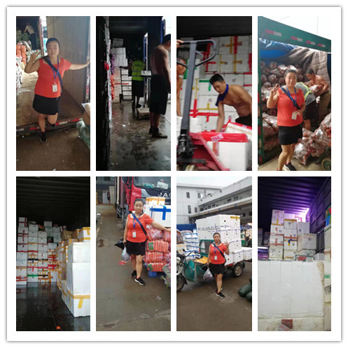 Z6·人生就是博(中国区)官方网站