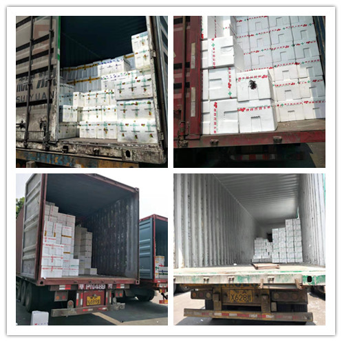 Z6·人生就是博(中国区)官方网站