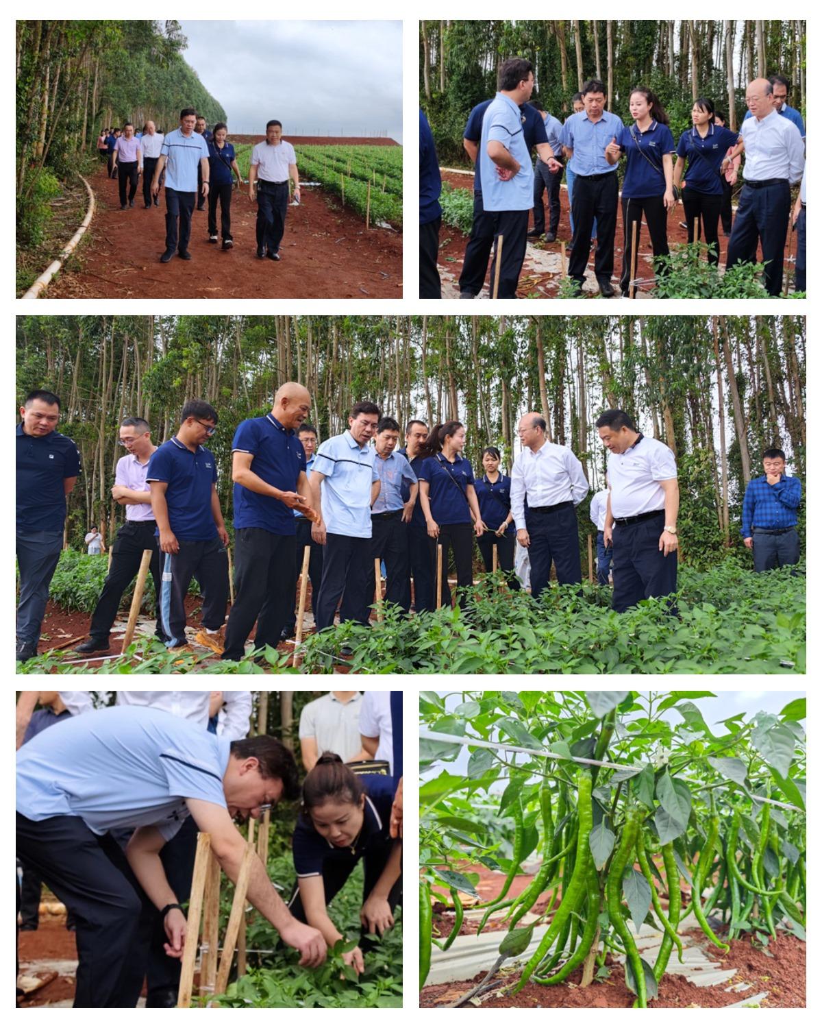 Z6·人生就是博(中国区)官方网站